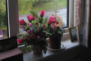 <view from a bedroom example>