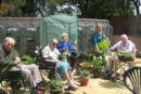 <Residents of Larchmere House enjoy taking part in the gardening club>